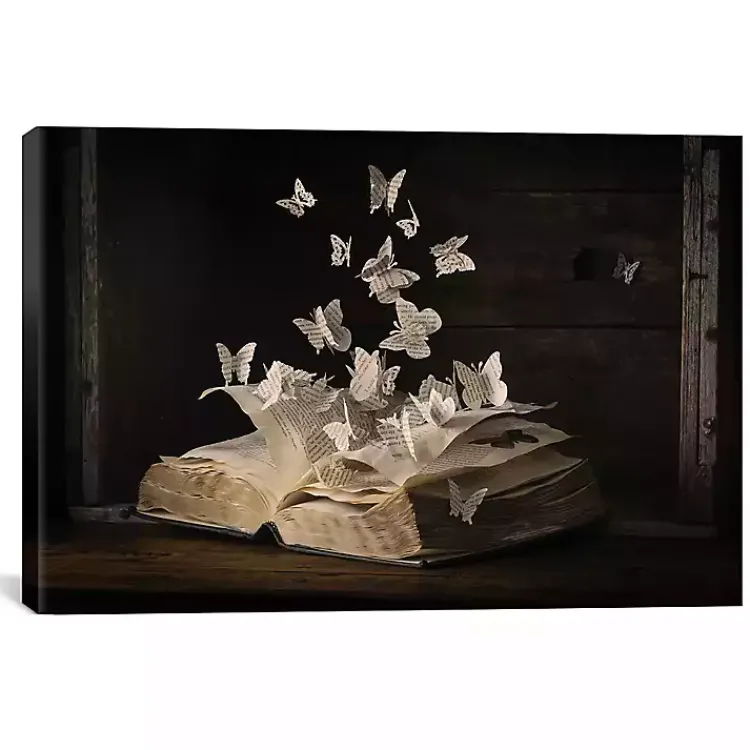 Canvas Art-Kirklands Home Lepidopterology Canvas Art Print