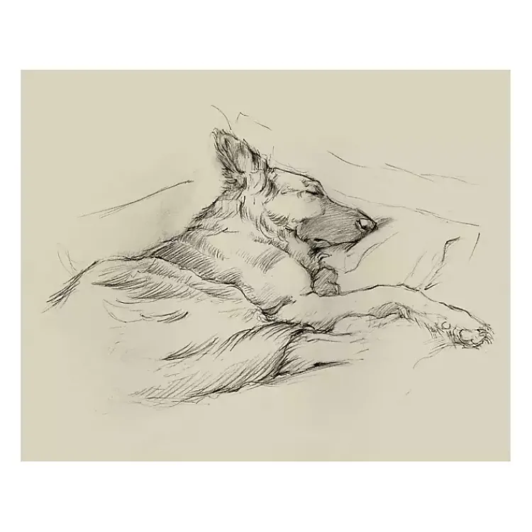 Canvas Art-Kirklands Home Dog Days IV Canvas Art Print