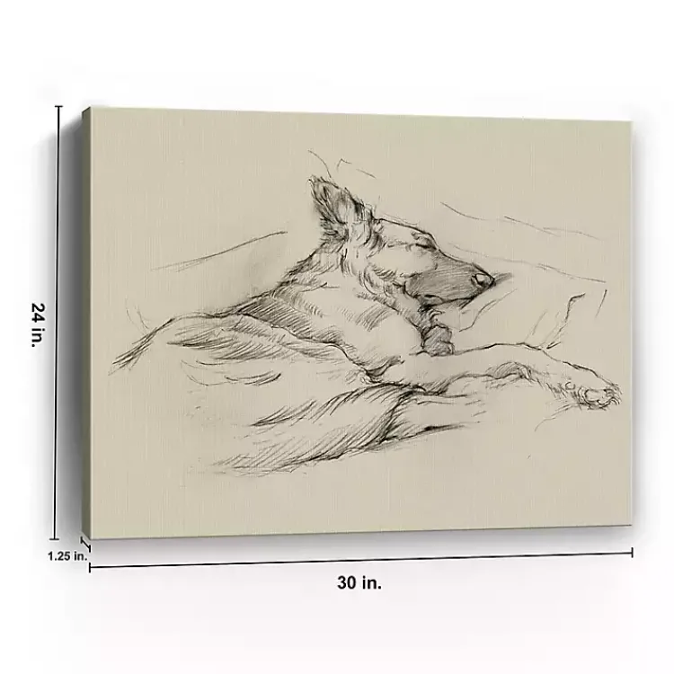 Canvas Art-Kirklands Home Dog Days IV Canvas Art Print