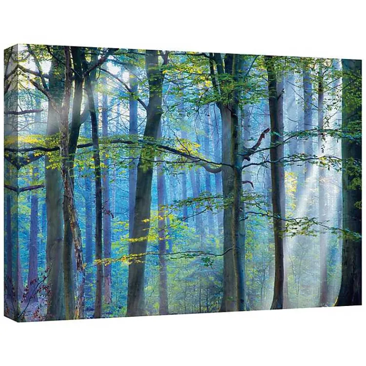 Canvas Art-Kirklands Home Enchanted Forest Canvas Print by Lars Van De Goor