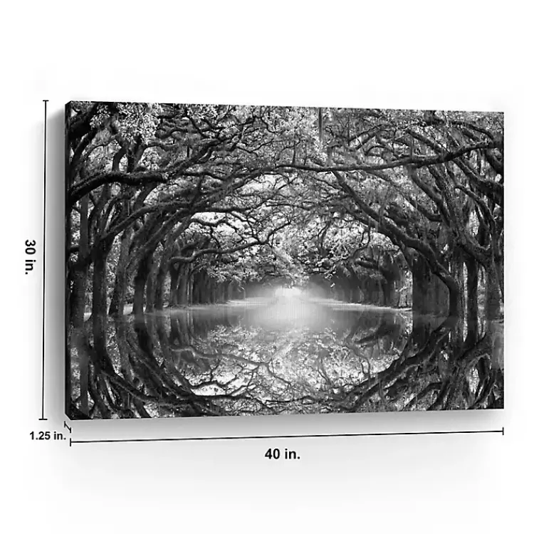 Canvas Art-Kirklands Home Oak Alley Reflection Giclee Canvas Art Print