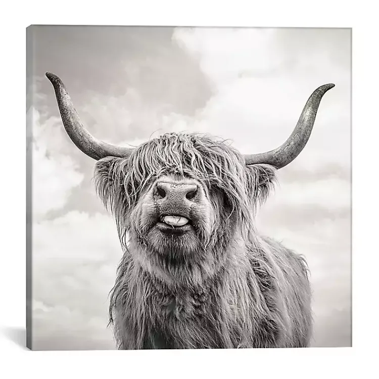 Canvas Art-Kirklands Home Funny Girl Giclee Canvas Art Print, 18x18