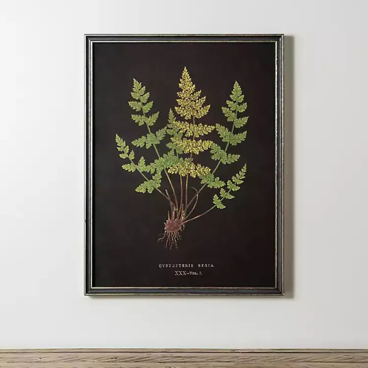 Framed Art-Kirklands Home Black Fern V Framed Art Print