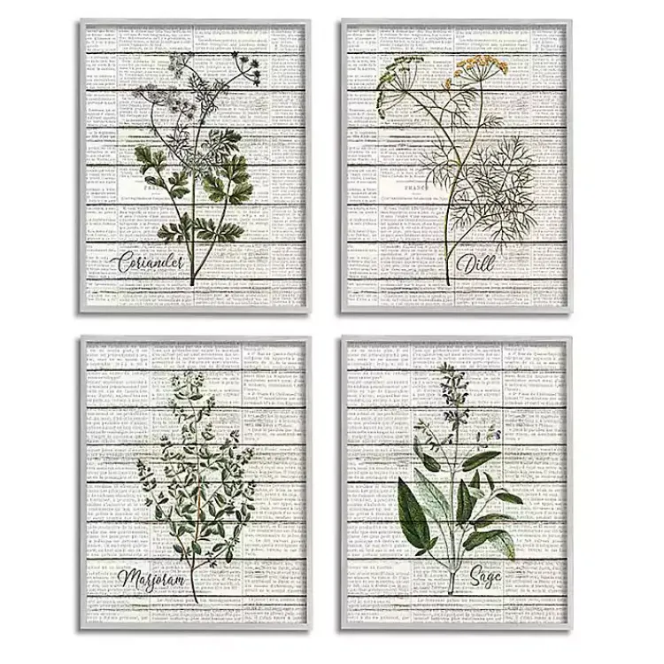 Framed Art-Kirklands Home Vintage Herbs Framed Art Prints, Set of 4 Ivory