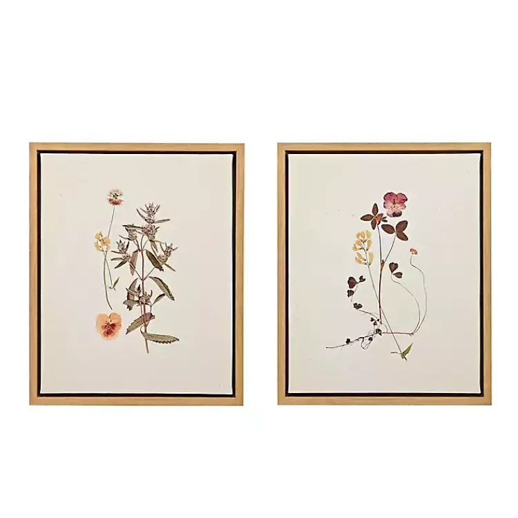 Framed Art-Kirklands Home Martha Stewart French Herbarium Framed Art Set Ivory