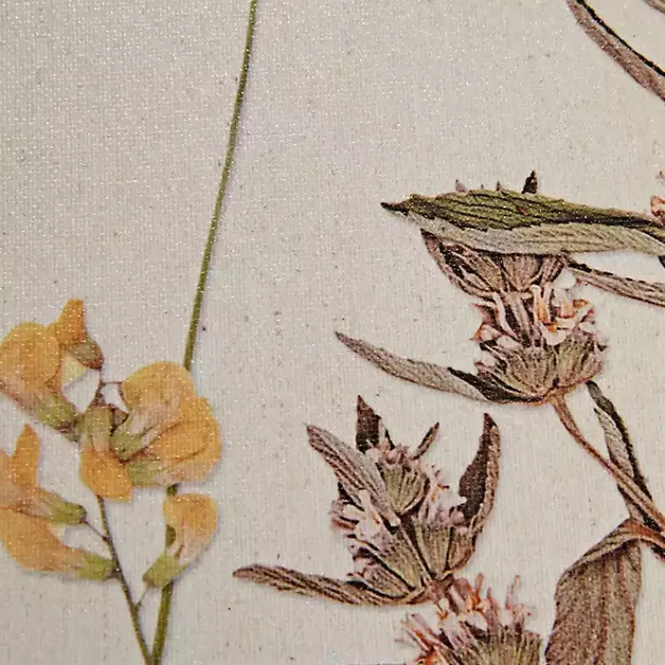 Framed Art-Kirklands Home Martha Stewart French Herbarium Framed Art Set Ivory