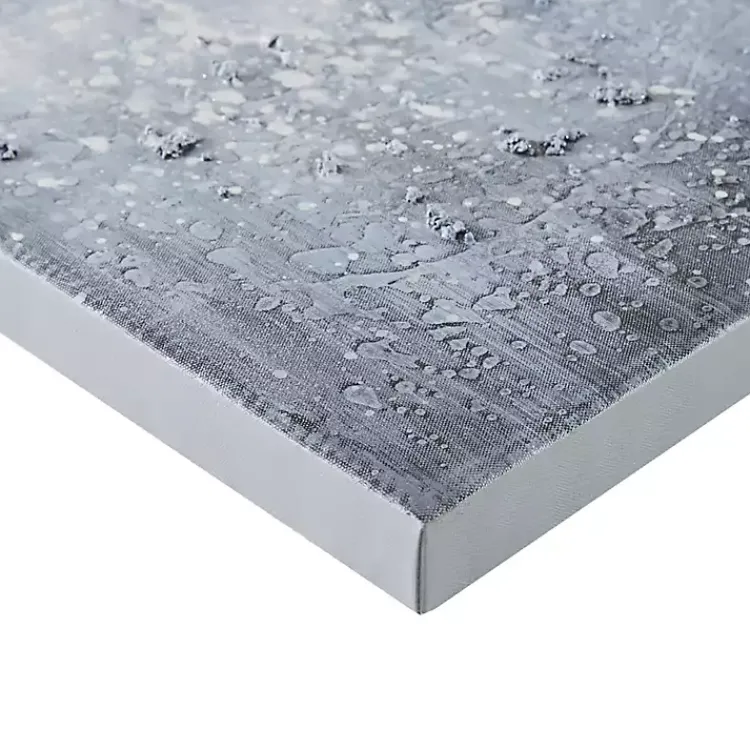 Canvas Art-Kirklands Home Winter Glaze Canvas Art Prints, Set of 2