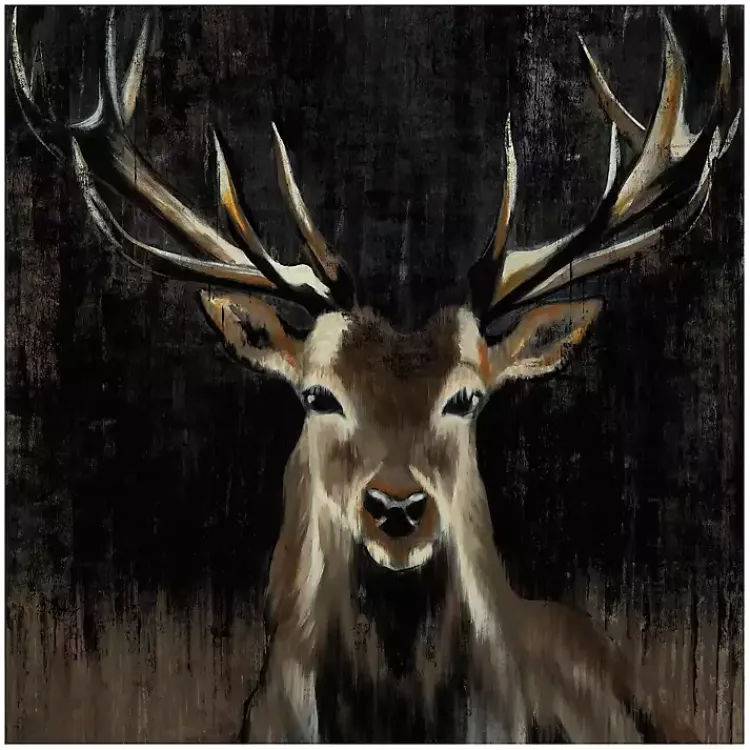 Canvas Art-Kirklands Home Young Buck Giclee Canvas Art Print, 30x30 in. Black