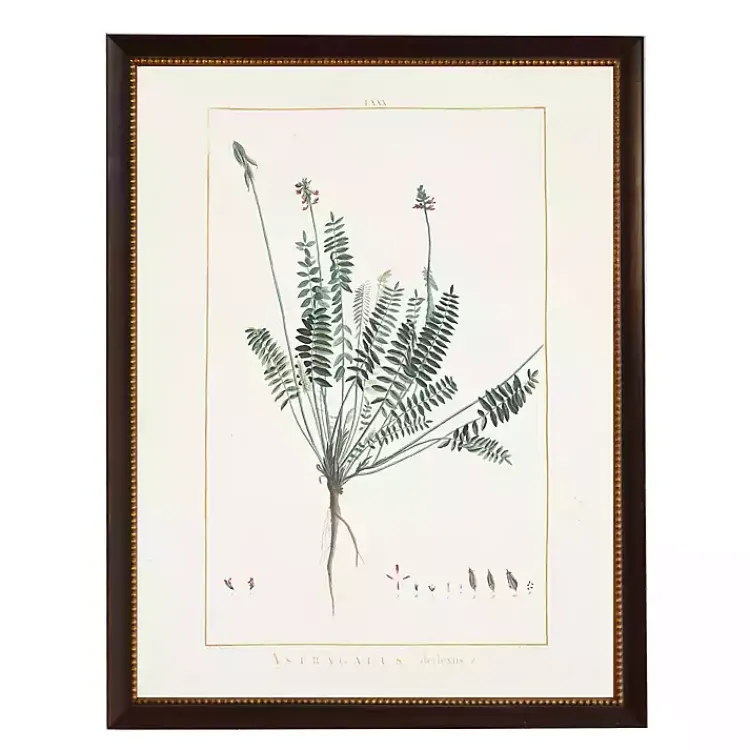 Framed Art-Kirklands Home Astragalus Greenery Black Beaded Framed Art Print