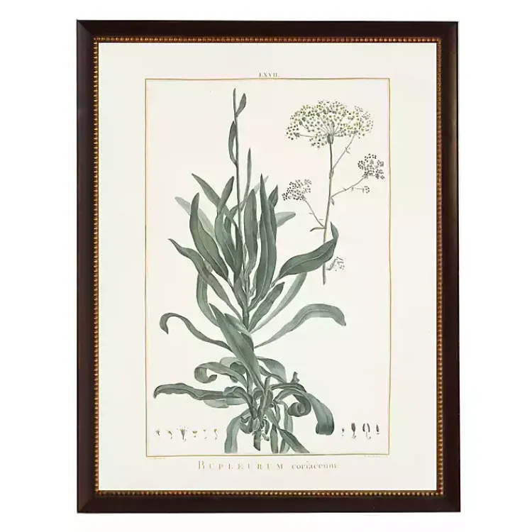 Framed Art-Kirklands Home Bupleurum Greenery Black Beaded Framed Art Print
