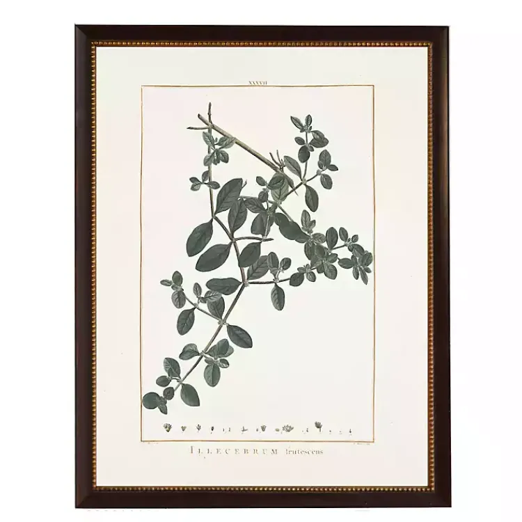 Framed Art-Kirklands Home Illecebrum Greenery Black Beaded Framed Art Print