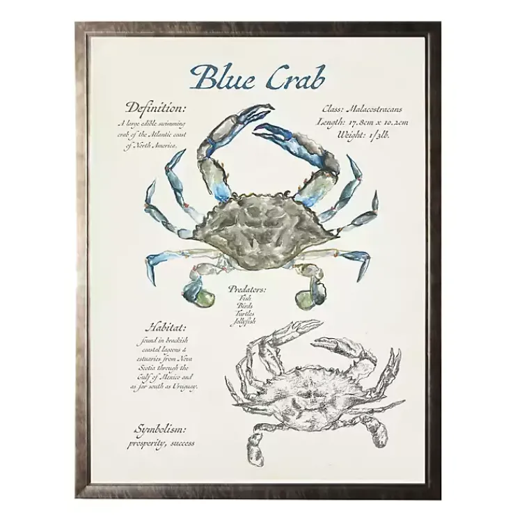 Framed Art-Kirklands Home Nature Study of a Blue Crab Framed Art Print Tan