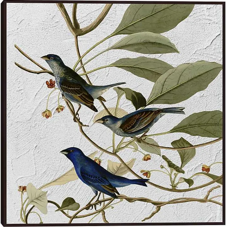 Canvas Art-Kirklands Home Audubon Indigo Bird Framed Canvas Art Print