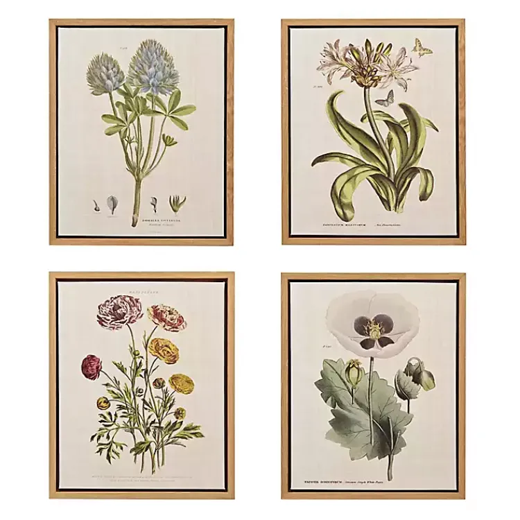Canvas Art-Kirklands Home Martha Stewart Herb and Floral Framed Print Set