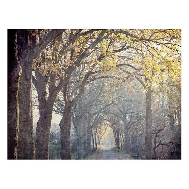 Canvas Art-Kirklands Home Avenue Of Trees Canvas Art Print