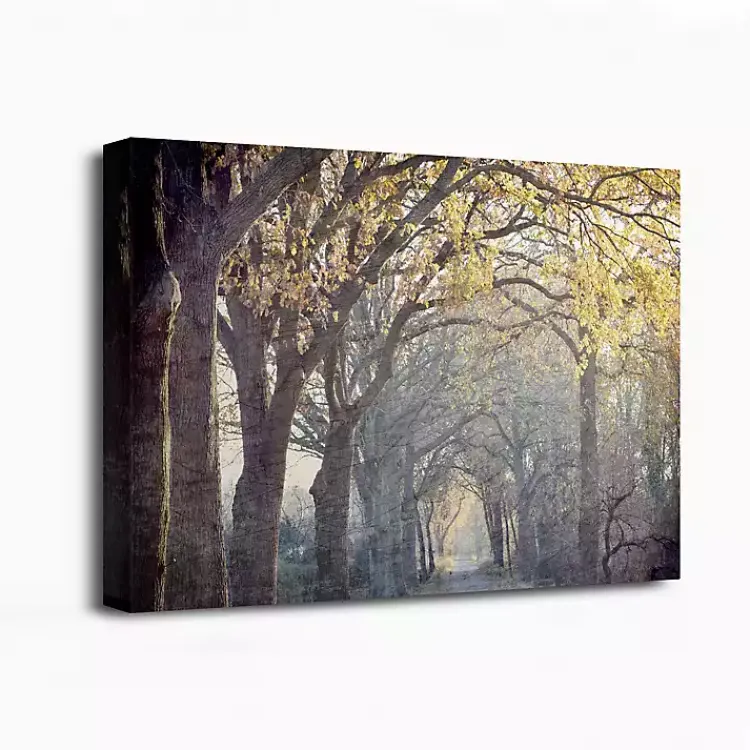 Canvas Art-Kirklands Home Avenue Of Trees Canvas Art Print