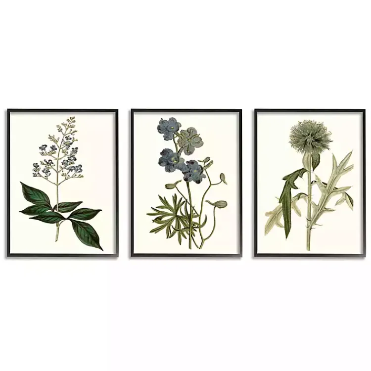 Framed Art-Kirklands Home Vintage Blue Flowers Framed Art Prints, Set of 3