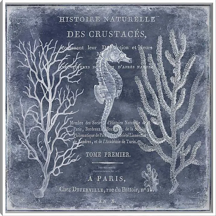 Framed Art-Kirklands Home Antique Deep Blue Sea II Framed Art Print