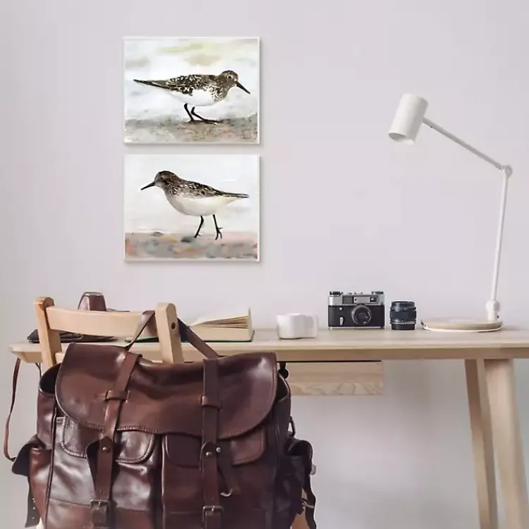 Framed Art-Kirklands Home Sandpiper on Coast Framed 2pc Canvas Art Print Set