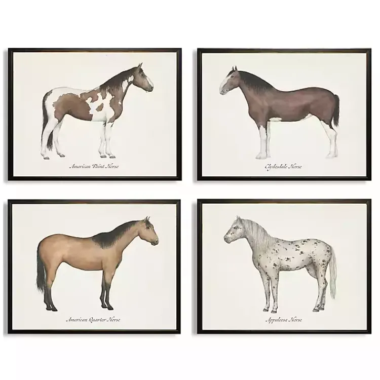 Framed Art-Kirklands Home Horses Framed Art Prints, Set of 4 White