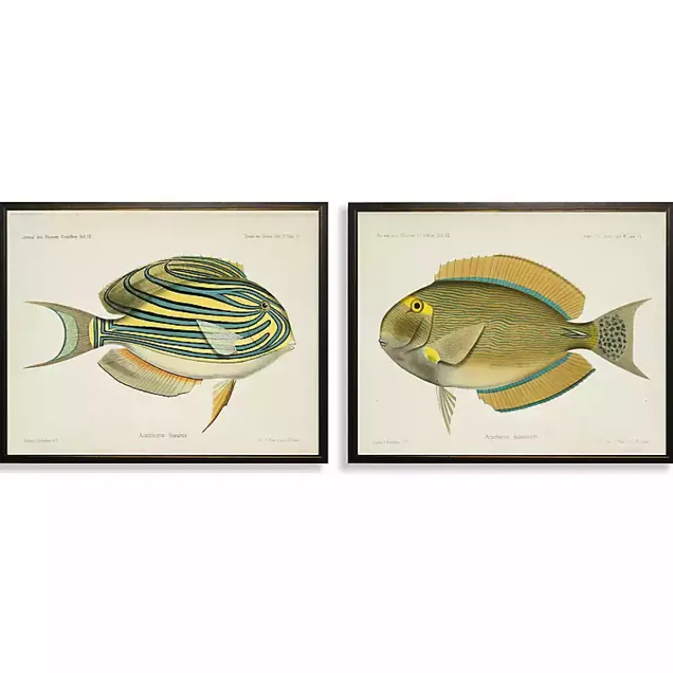 Framed Art-Kirklands Home Acanthurus Fish Framed Art Prints, Set of 2