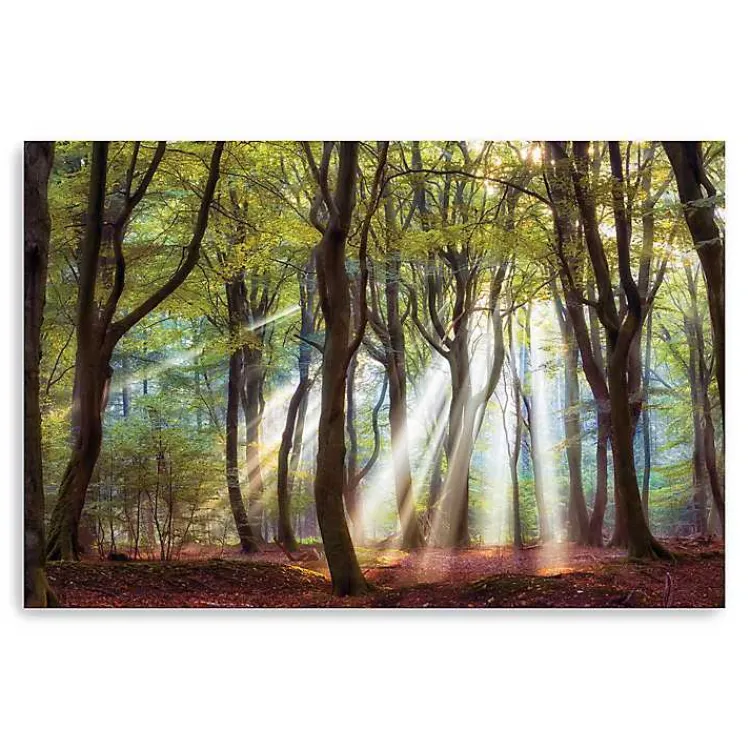 Canvas Art-Kirklands Home Majestic Morning Giclee Canvas Art Print Green