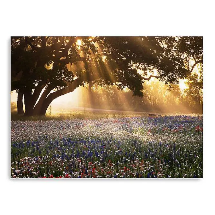 Canvas Art-Kirklands Home Morning Meadow Giclee Canvas Art Print, 48x36 in. Yellow