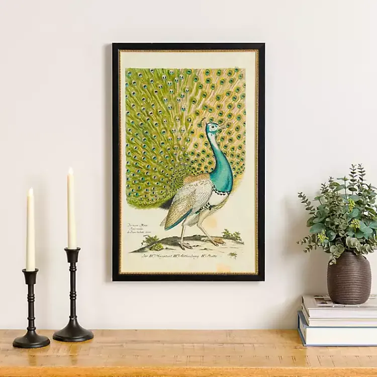Framed Art-Kirklands Home Peacock Framed Wall Art