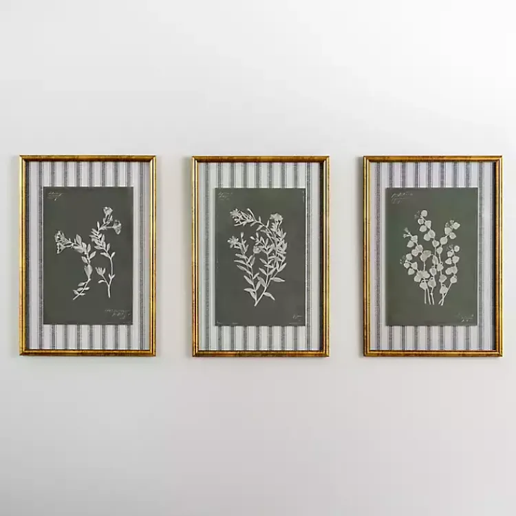 Framed Art-Kirklands Home Botanical Stripes I Framed Art Print