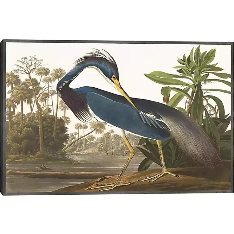 Canvas Art-Kirklands Home Louisiana Heron Framed Canvas Art Print