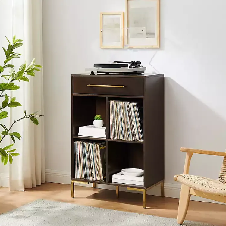 Bookshelves-Kirklands Home Cadence Gold Record Storage Bookcase
