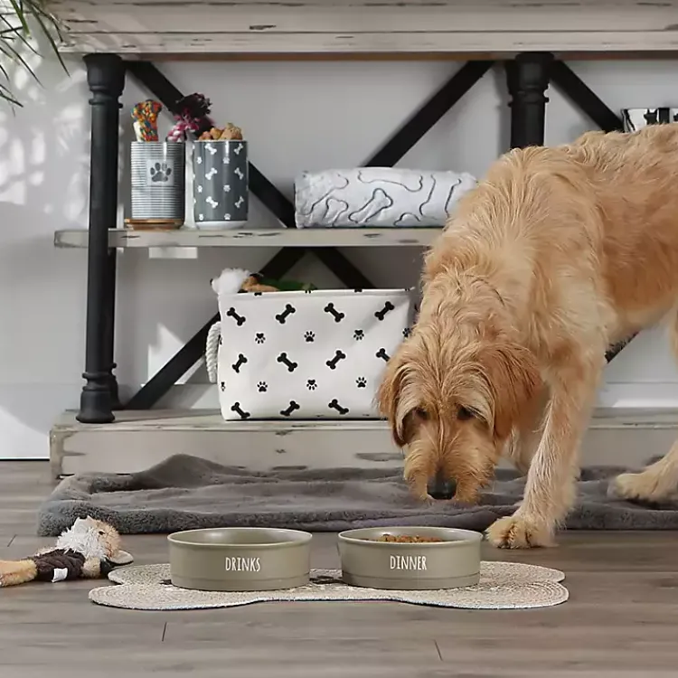 Pet Dishes & Canisters-Kirklands Home Stone Dinner & Drinks 2-pc. Pet Bowl Set, 8 in. Tan