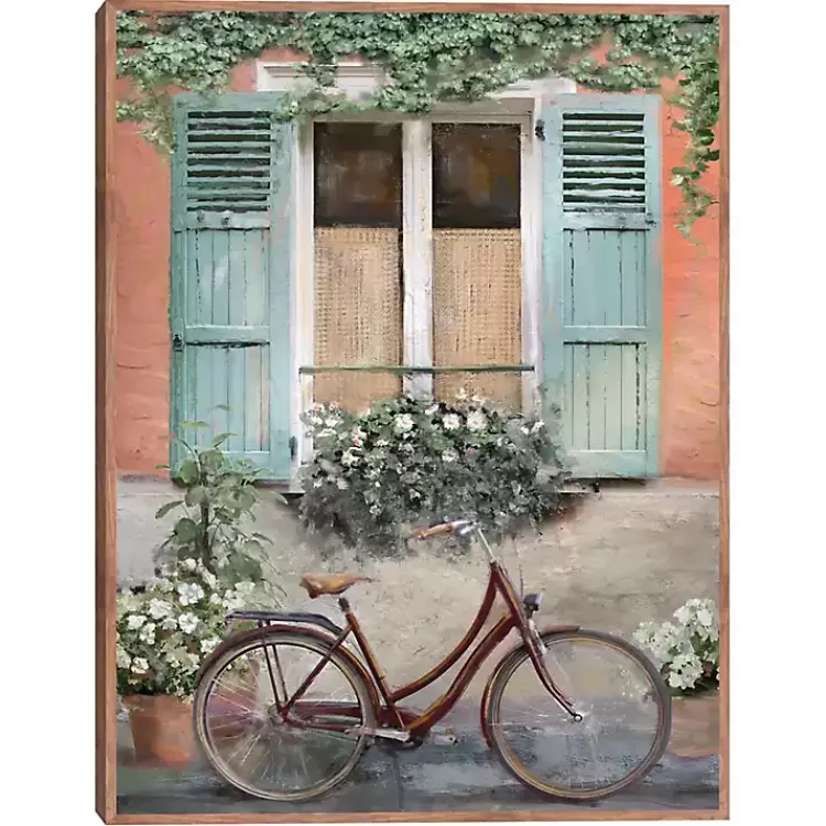 Framed Art-Kirklands Home Velo de Montpellier Framed Canvas Art Print