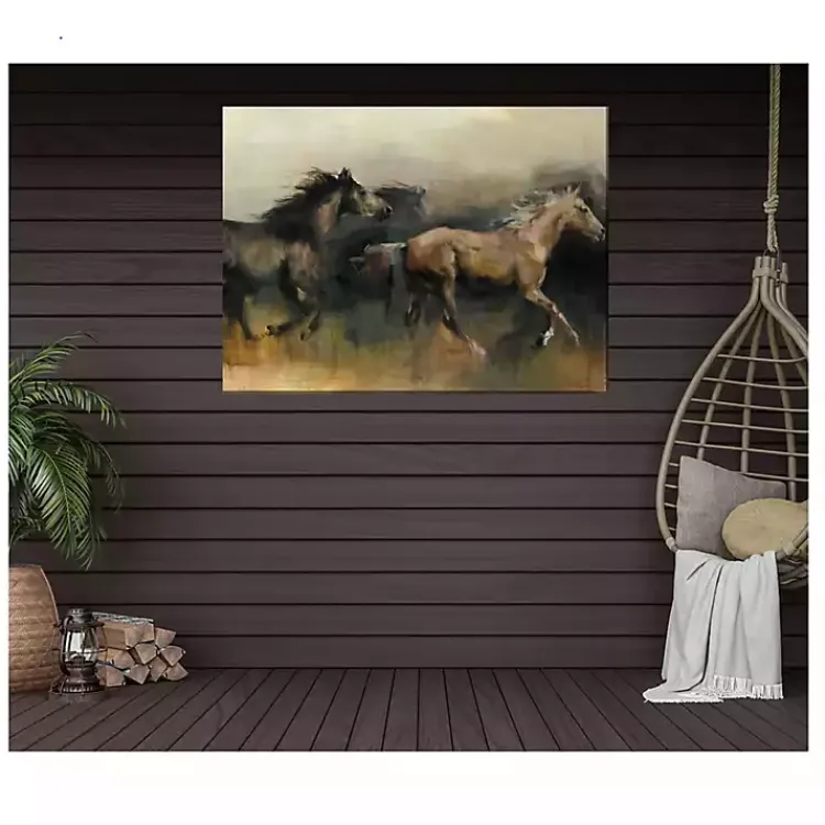 Outdoor Wall Decor-Kirklands Home Free Rein Outdoor Canvas Art Print