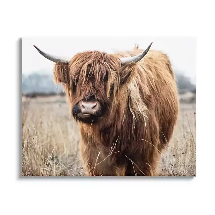 Canvas Art-Kirklands Home Longhorn in Tall Grass Canvas Art Print, 40x30 in. Brown