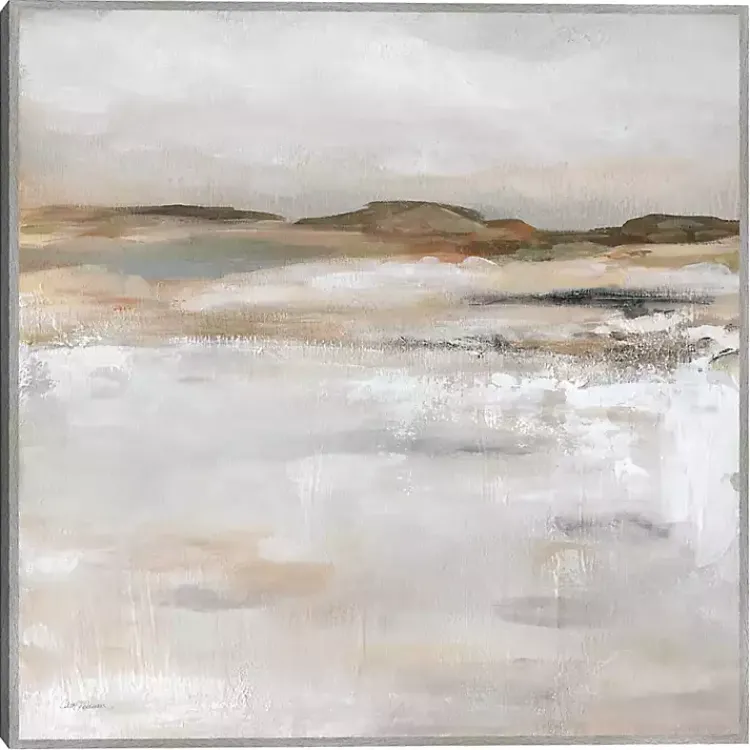 Canvas Art-Kirklands Home Desert Floor Framed Canvas Art Print Gray