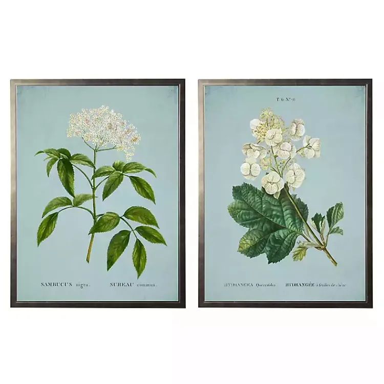 Framed Art-Kirklands Home Blue Floral Diagram I Framed Art Prints, Set of 2