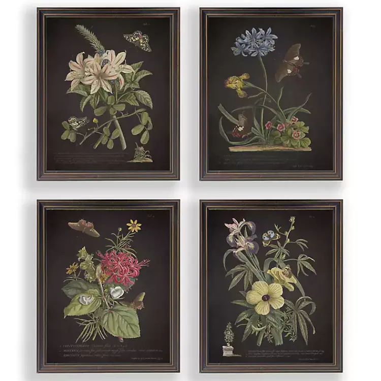 Framed Art-Kirklands Home Night Butterfly Blooms Framed Art Prints, Set of 4
