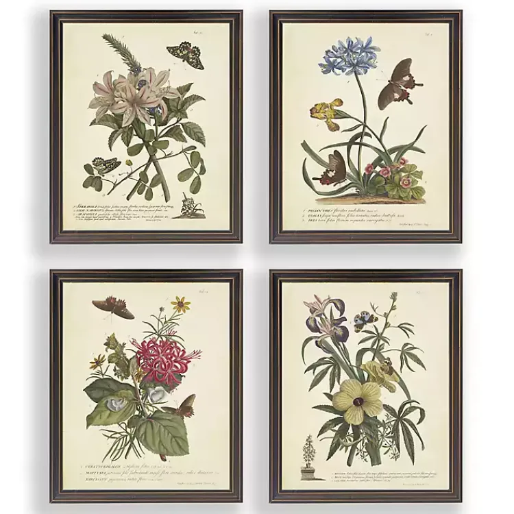 Framed Art-Kirklands Home Day Butterfly Blooms Framed Art Prints, Set of 4