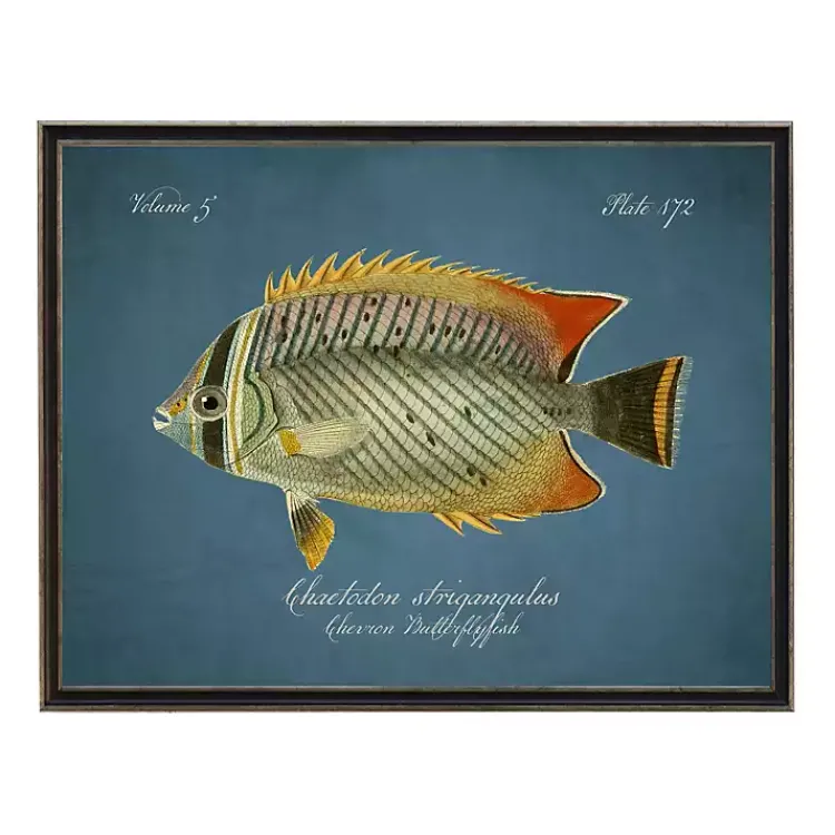 Framed Art-Kirklands Home Chevron Butterflyfish Framed Wall Art Blue