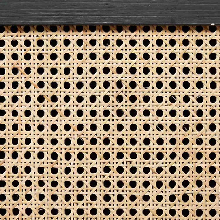 Cabinets & Sideboards-Kirklands Home Black Cane 2-Door Media Cabinet