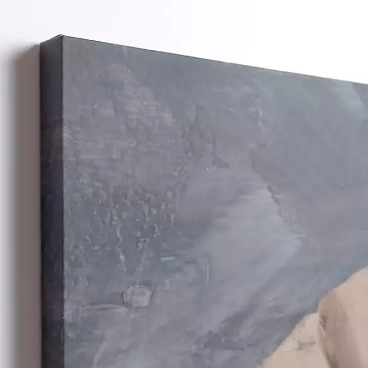 Canvas Art-Kirklands Home Neutral Seashell Canvas Art Print