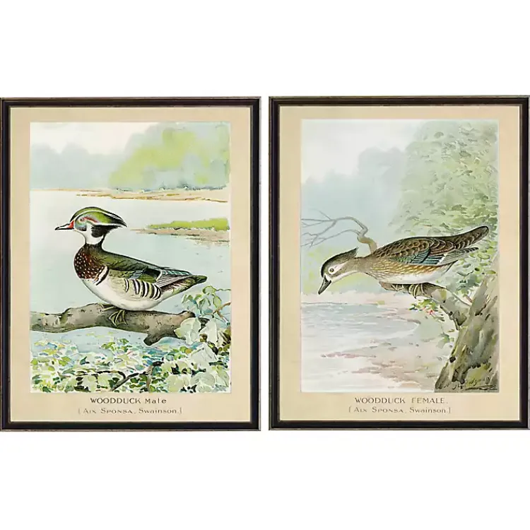 Framed Art-Kirklands Home Wood Duck Duo Framed Art Prints, Set of 2