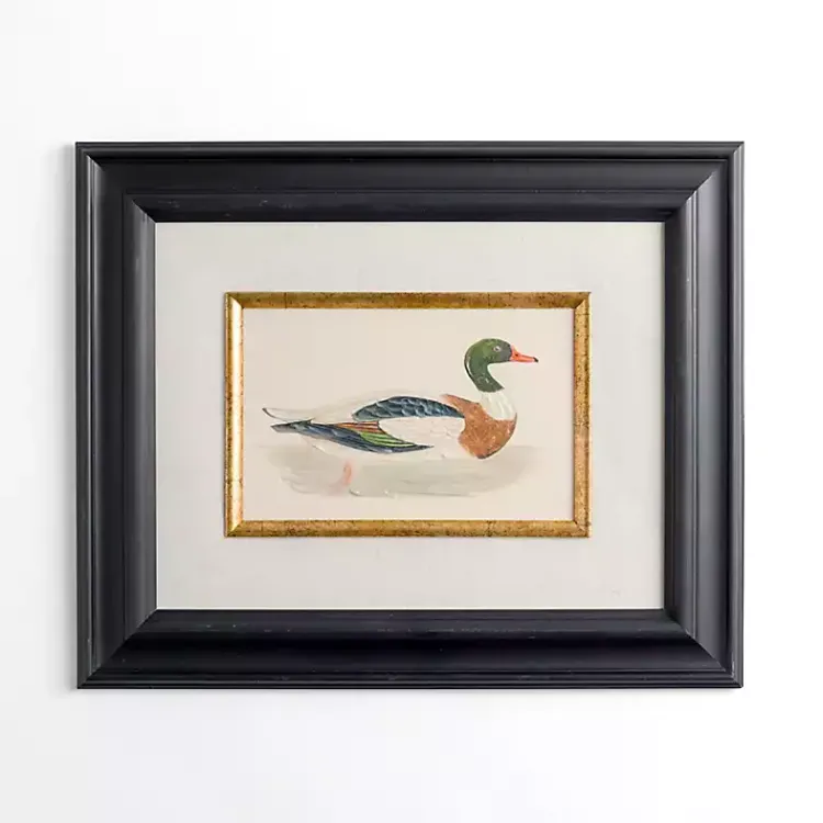 Framed Art-Kirklands Home Vintage Duck Framed Art Print Multi