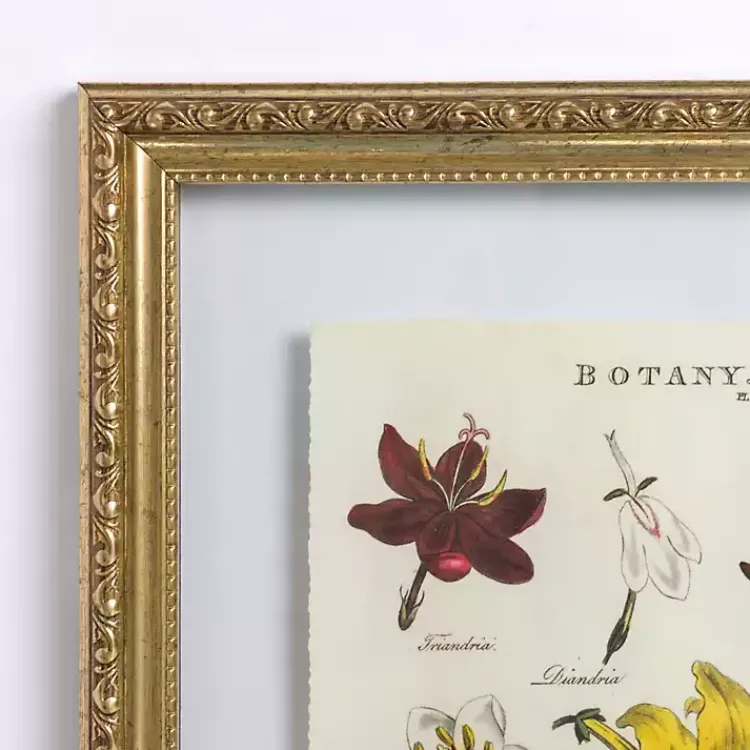 Framed Art-Kirklands Home Botany Gold Framed Art Print