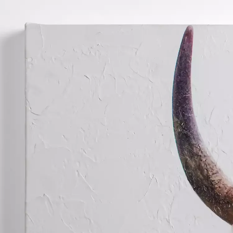 Canvas Art-Kirklands Home Peek-A-Boo Cow Canvas Art Print