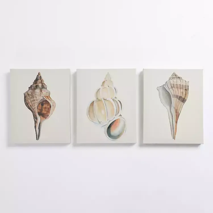 Canvas Art-Kirklands Home Neutral Seashells Canvas Art Prints, Set of 3