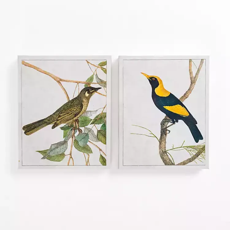 Canvas Art-Kirklands Home Vintage Birds Canvas Art Prints, Set of 2