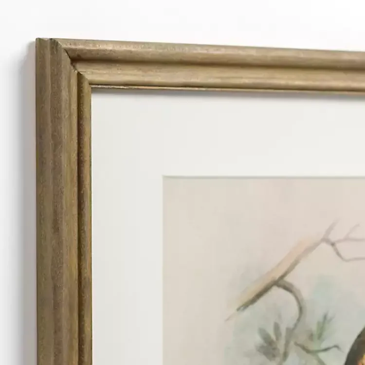 Framed Art-Kirklands Home Tengmalm Owl Framed Art Print