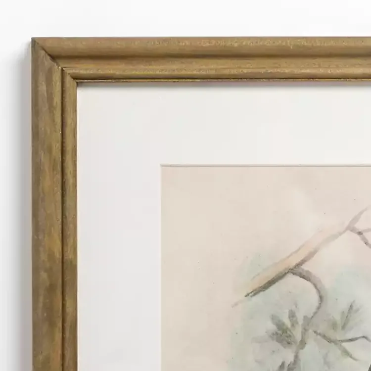 Framed Art-Kirklands Home Tengmalm Owl Framed Art Print